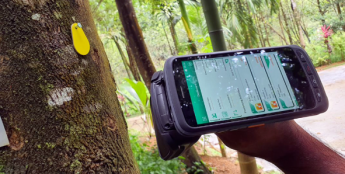 斯里兰卡林业公司利用RFID技术跟踪树木健康