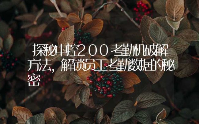 探秘中控200考勤机破解方法，解锁员工考勤数据的秘密