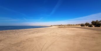 中国机器狗驻守沙特未来之城，云深处科技破解极端环境巡逻难题