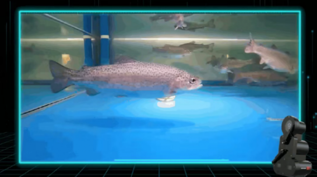 海康威视水下立体视觉摄像机助力智慧养殖