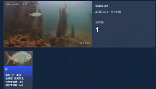 海康威视水下立体视觉摄像机助力智慧养殖