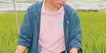 把代码“种”进泥土，人工智能大数据如何助力选种？