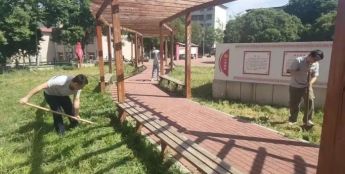 安阳智慧城市运行中心网格员 下沉服务办实事植绿暖民心